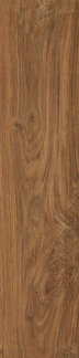 Chestnut Floor/Wall Tile 8x36