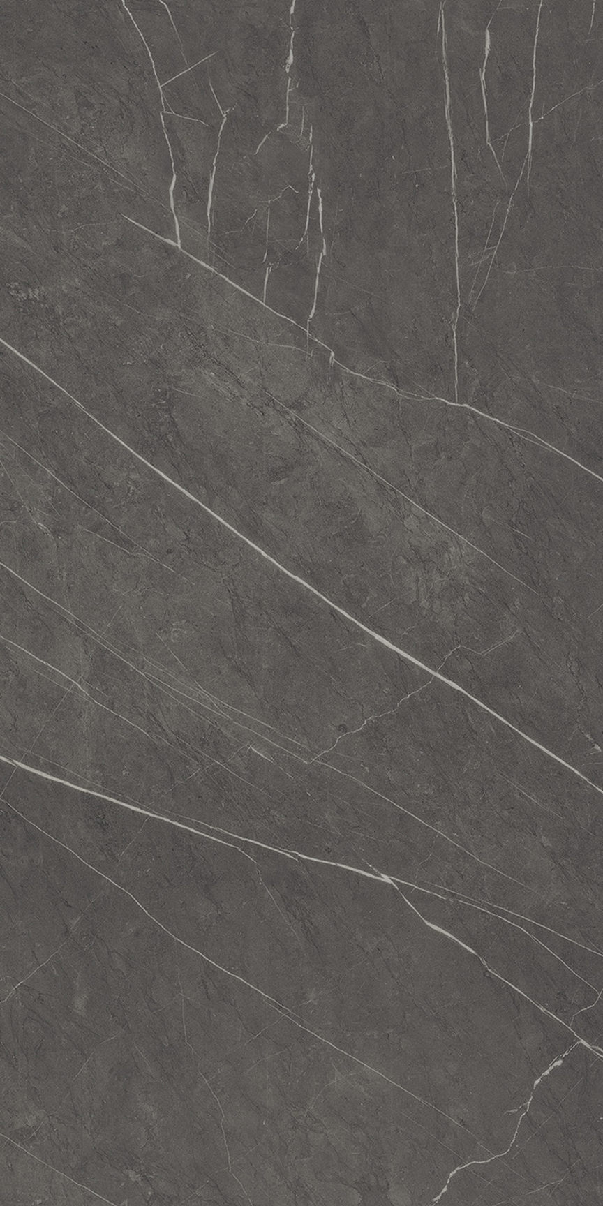 Sovereign Gray Floor/Wall Tile (Polished) 24x48