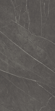 Sovereign Gray Floor/Wall Tile (Polished) 24x48
