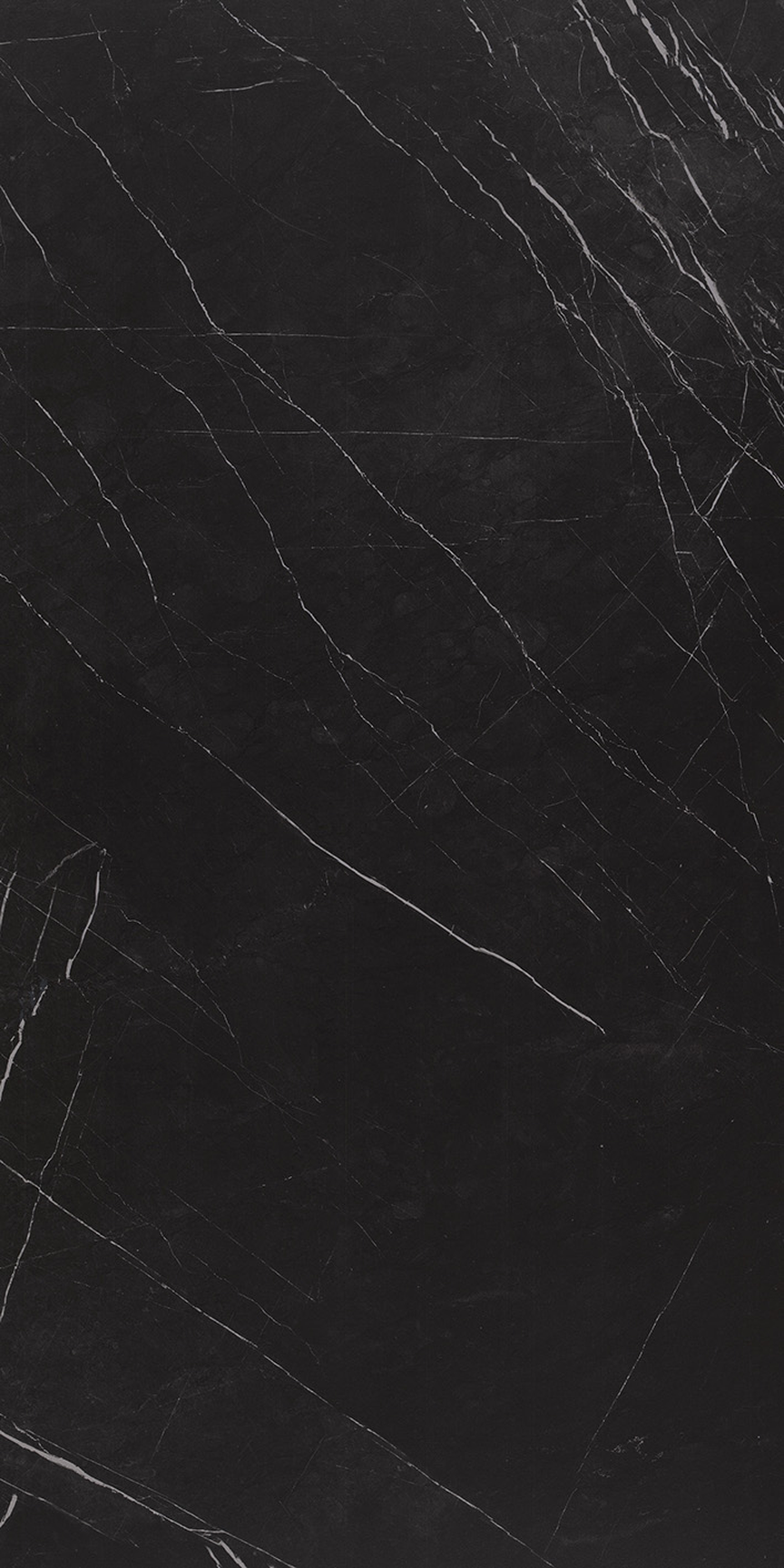 Regal Black Floor/Wall Tile (Matte) 24x48