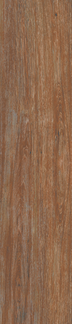 Hickory Floor/Wall Tile 8x36