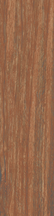 Walnut Floor/Wall Tile 6x24