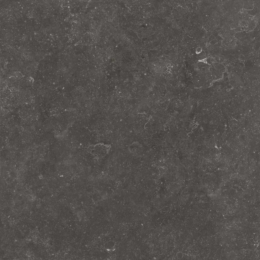 Fossil Black Floor/Wall Tile 24x24