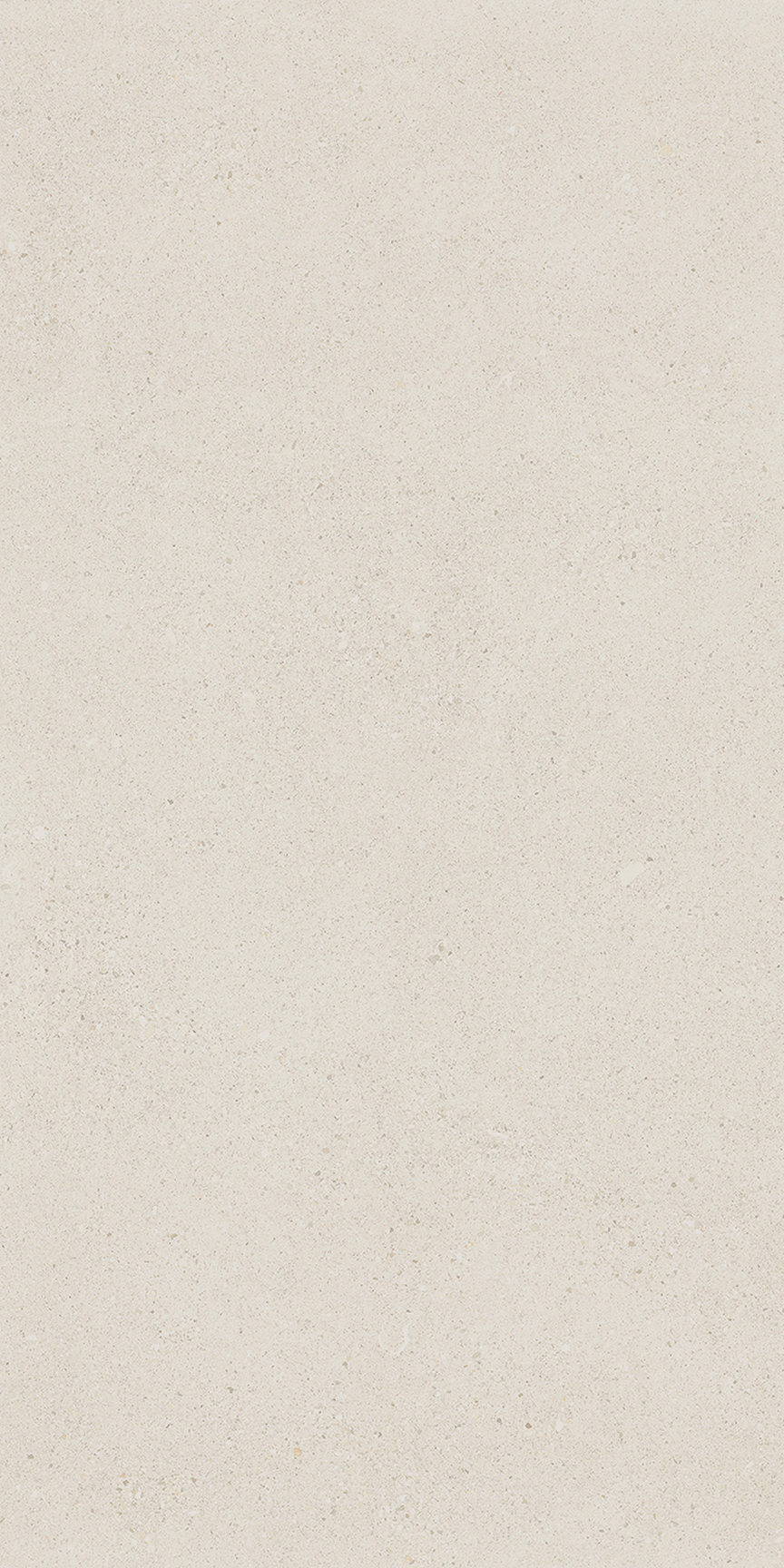 Levee White Floor/Wall Tile 24x48