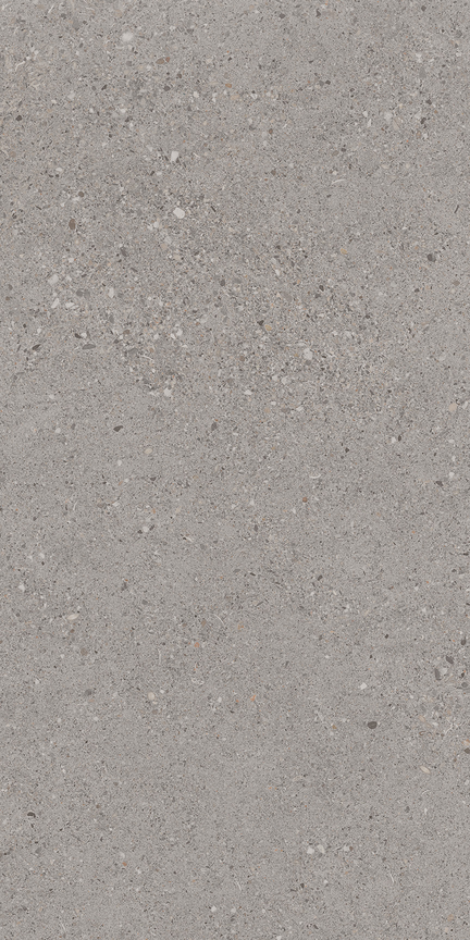 French Gray Floor/Wall Tile 12x24