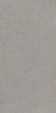 French Gray Floor/Wall Tile 24x48