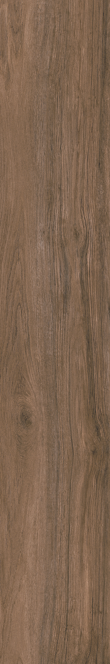 Brown Floor/Wall Tile 10x60