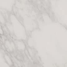 Honesty Floor/Wall Tile (Matte) 24x24