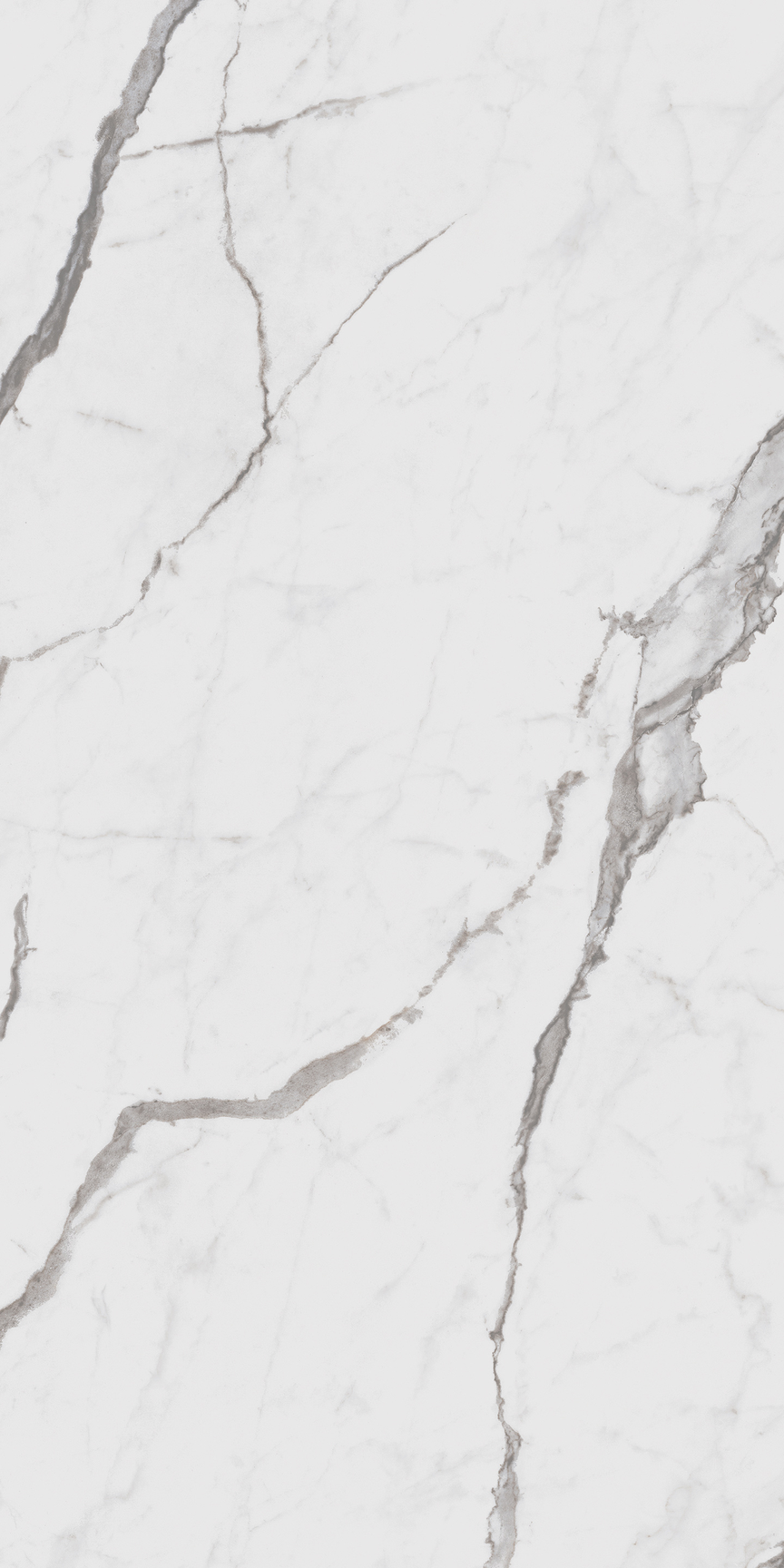 Statuario Floor/Wall Tile (Polished) 24x48