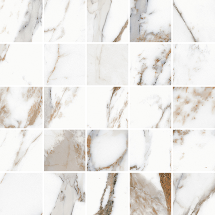 Breccia Capraia 25 Piece Mosaics (Matte) M12