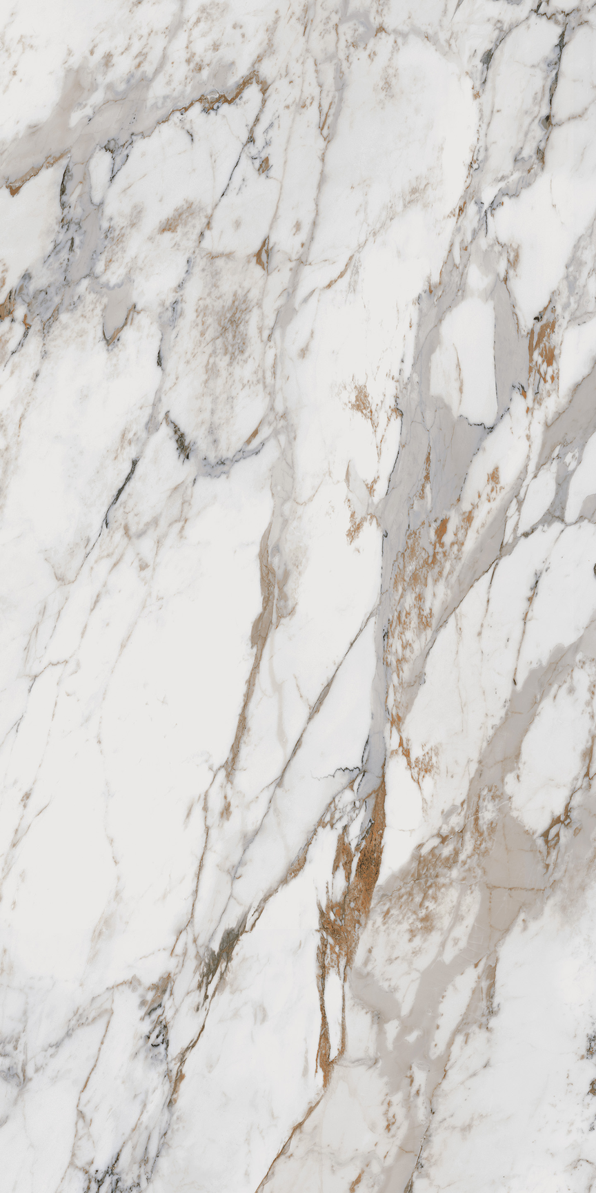 Breccia Capraia Floor/Wall Tile (Polished) 24x48