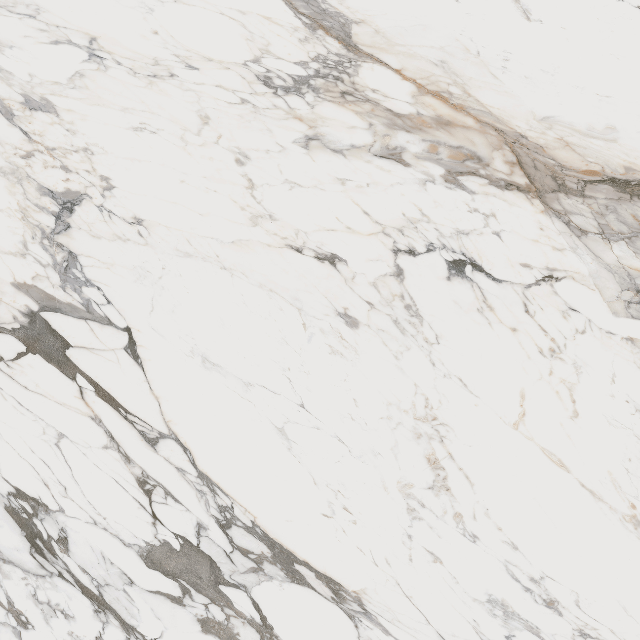 Breccia Capraia Floor/Wall Tile (Polished) 36x36