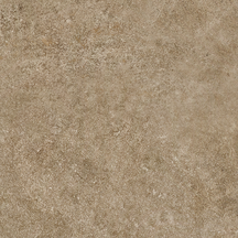 Taupe Floor/Wall Tile 24x24