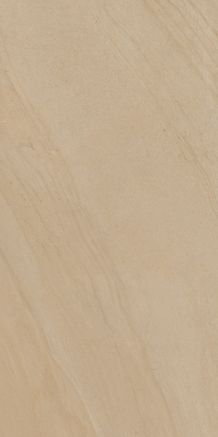 Anywhere Beige Floor/Wall Tile 24x48