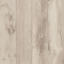Florida 2cm Porcelain Pavers 24x24
