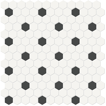 Canvas White & Retro Black 1in Hexagon Mixed Mosaic 12x12