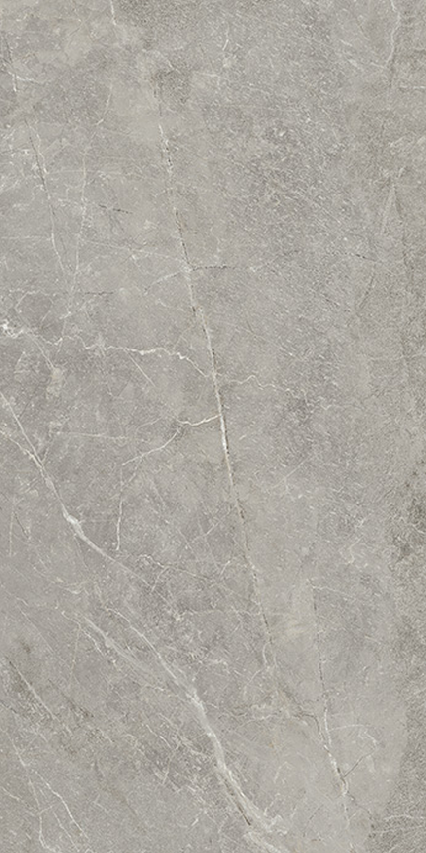 Ash Cool Gray Floor/Wall Tile (Matte) 24x48