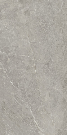 Ash Cool Gray Floor/Wall Tile (Matte) 24x48